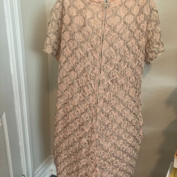 Vintage Pink Lace Plus Size Dress - Picture 2 of 7